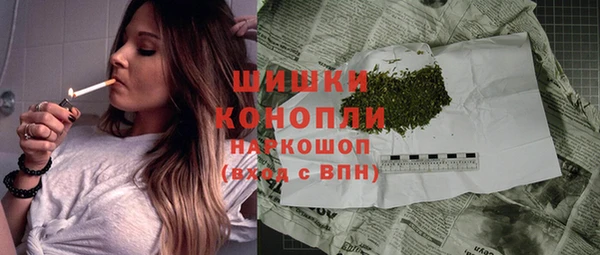 мескалин Богданович
