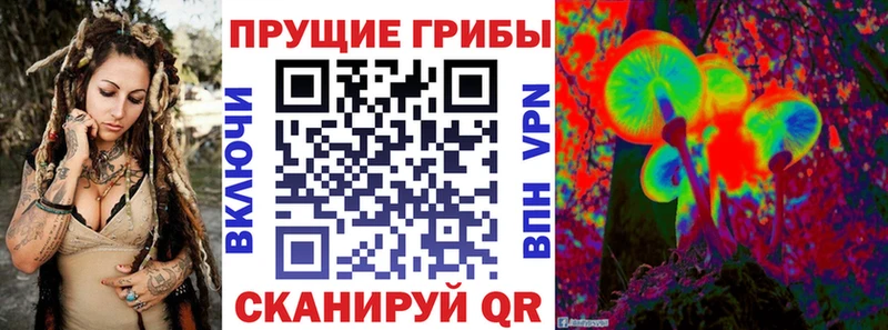 где найти наркотики  Билибино  Галлюциногенные грибы мицелий 